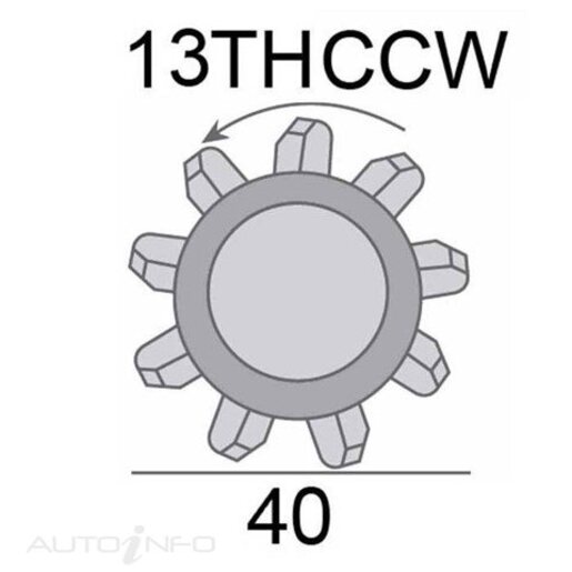 JAS Oceania Starter Motor 12V 1.7KW 13TH - SNJ819