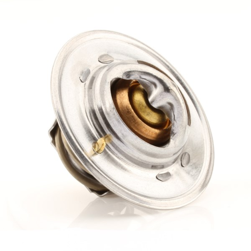 Tridon Thermostat - TT1-160